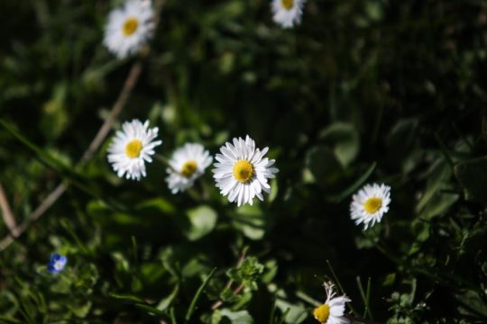 Συνέχεια στον ανοιξιάτικο καιρό